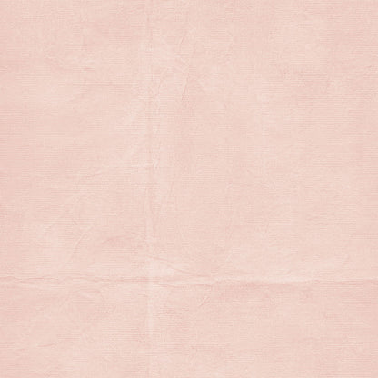 49 and Market THE LOOKING GLASS 12”X12” Solids Cardstock Pack