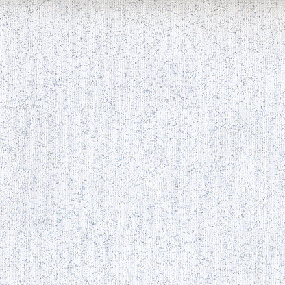 Core’dinations GLITTER SILK CARDSTOCK 80LB 12”X12”