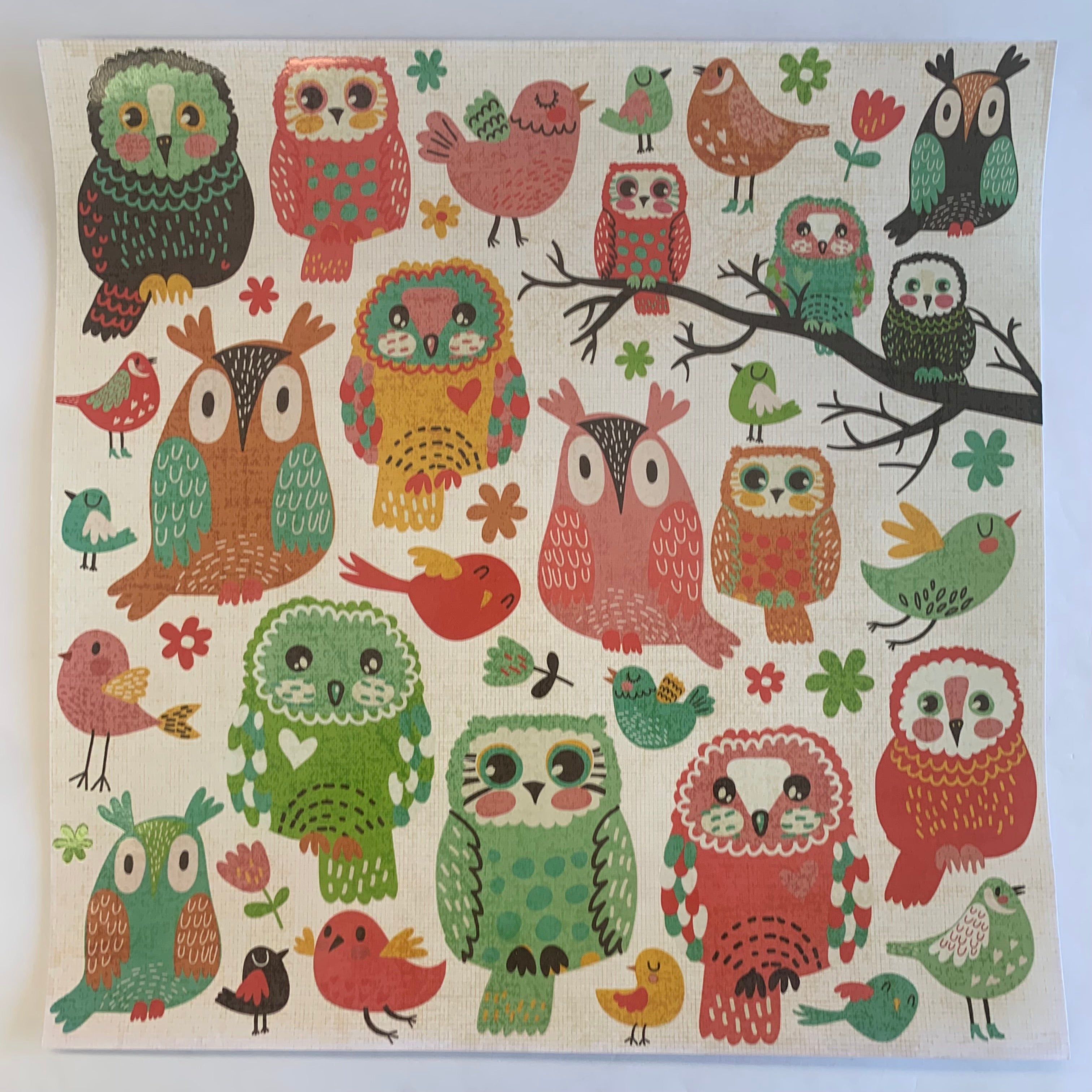 Kaisercraft Hello Sunshine HOOT 12”X12” Scrapbook Paper