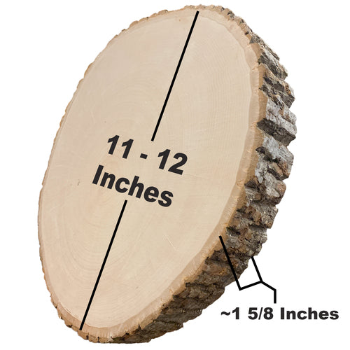 Wilson BASSWOOD ROUND Thick XLarge 3D Wood Home Decor Tree Stump