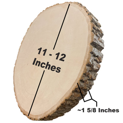 Wilson BASSWOOD ROUND Thick XLarge 3D Wood Home Decor Tree Stump