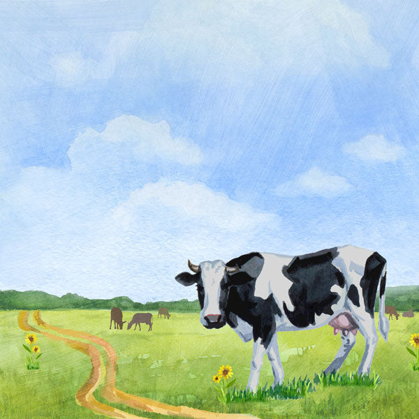 Scrapbook Customs COW DS Watercolor 12&quot;X12&quot; Scrapbook Paper