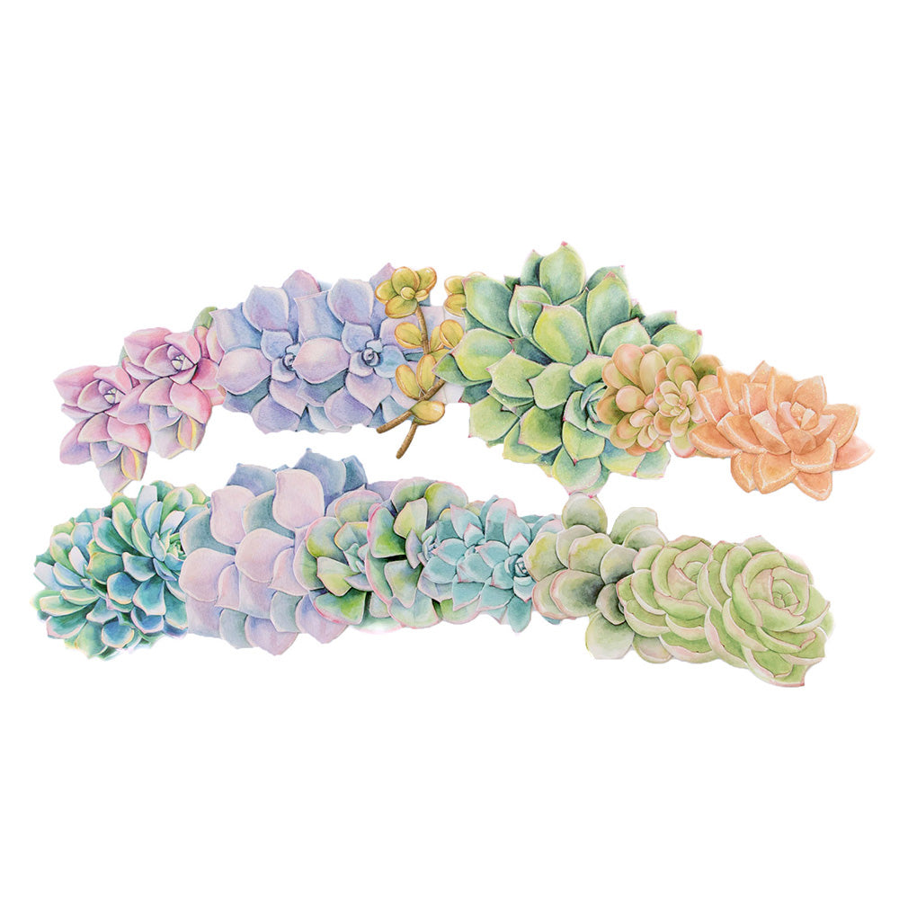 Paper House SUCCULENTS Diecut Stickers 24pc