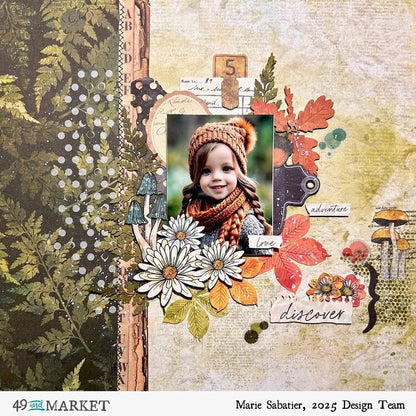 49 and Market Vicki Boutin CURIOSITIES IN WILLOW GROVE Rub-On Transfers