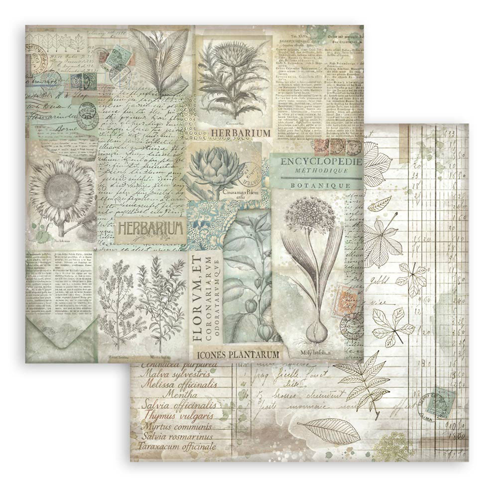 Stamperia HERBARIUM SILVAE 12”X12” Maxi Backgrounds Paper Pad