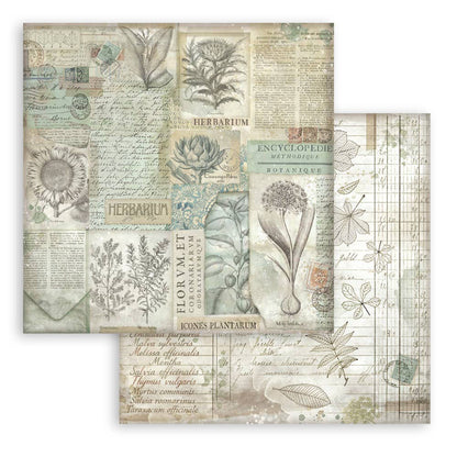 Stamperia HERBARIUM SILVAE 12”X12” Maxi Backgrounds Paper Pad