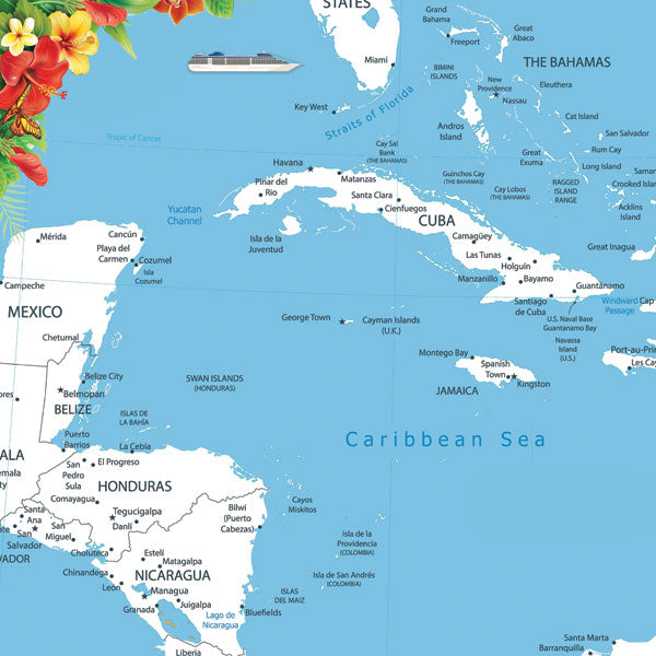 Scrapbook Customs CARIBBEAN MAP FLORAL 12X12 Scrapbook Paper
