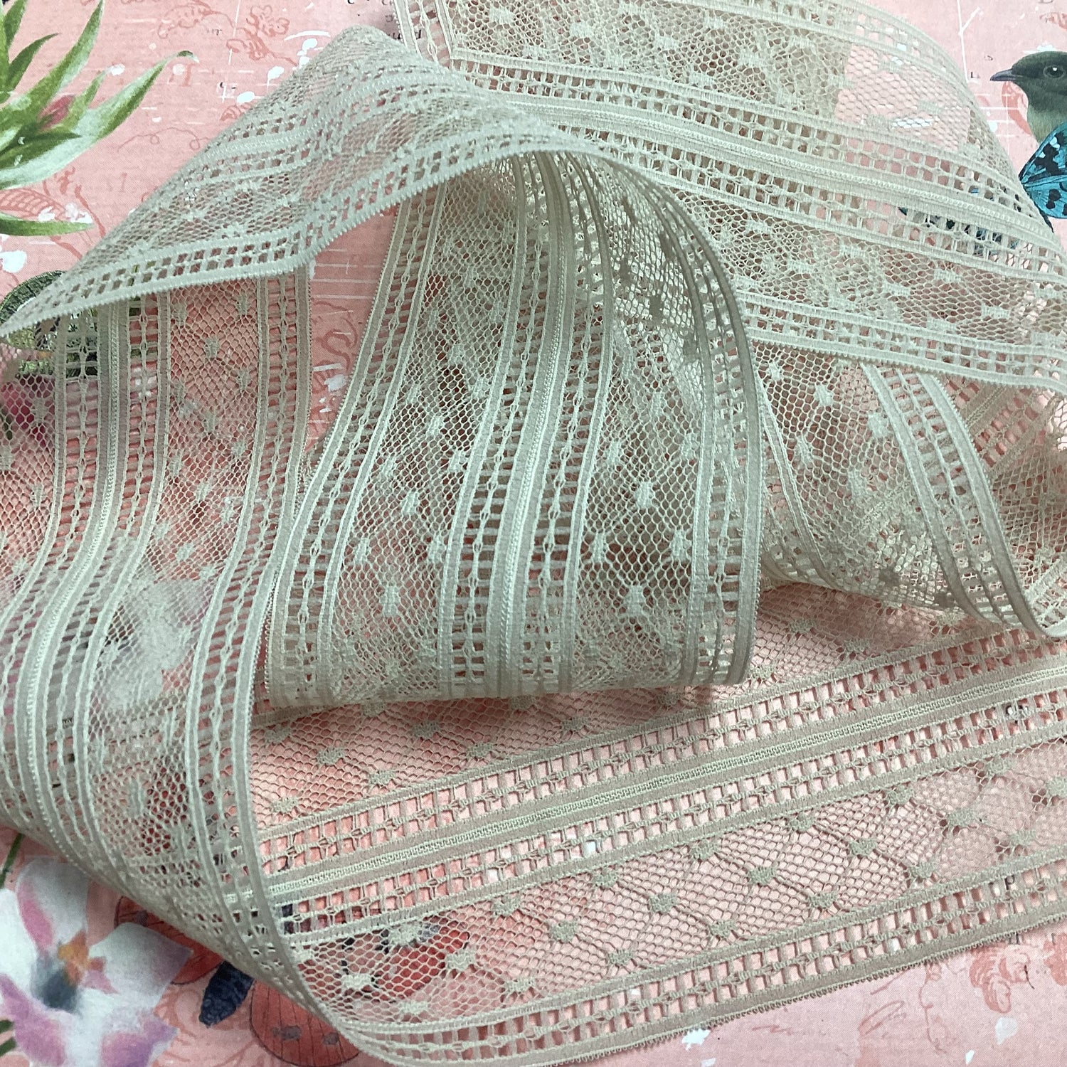 Scrapbooksrus Vintage Lace STRAIGHT GATE ALMOND Ribbon Trim 2.5”X1yd