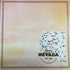 NEVADA POSTAGE MAP Double Sided 12"X12" Scrapbook Travel Paper