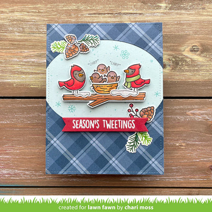 Lawn Fawn WINTER BIRDS Stamps &amp; Die SET