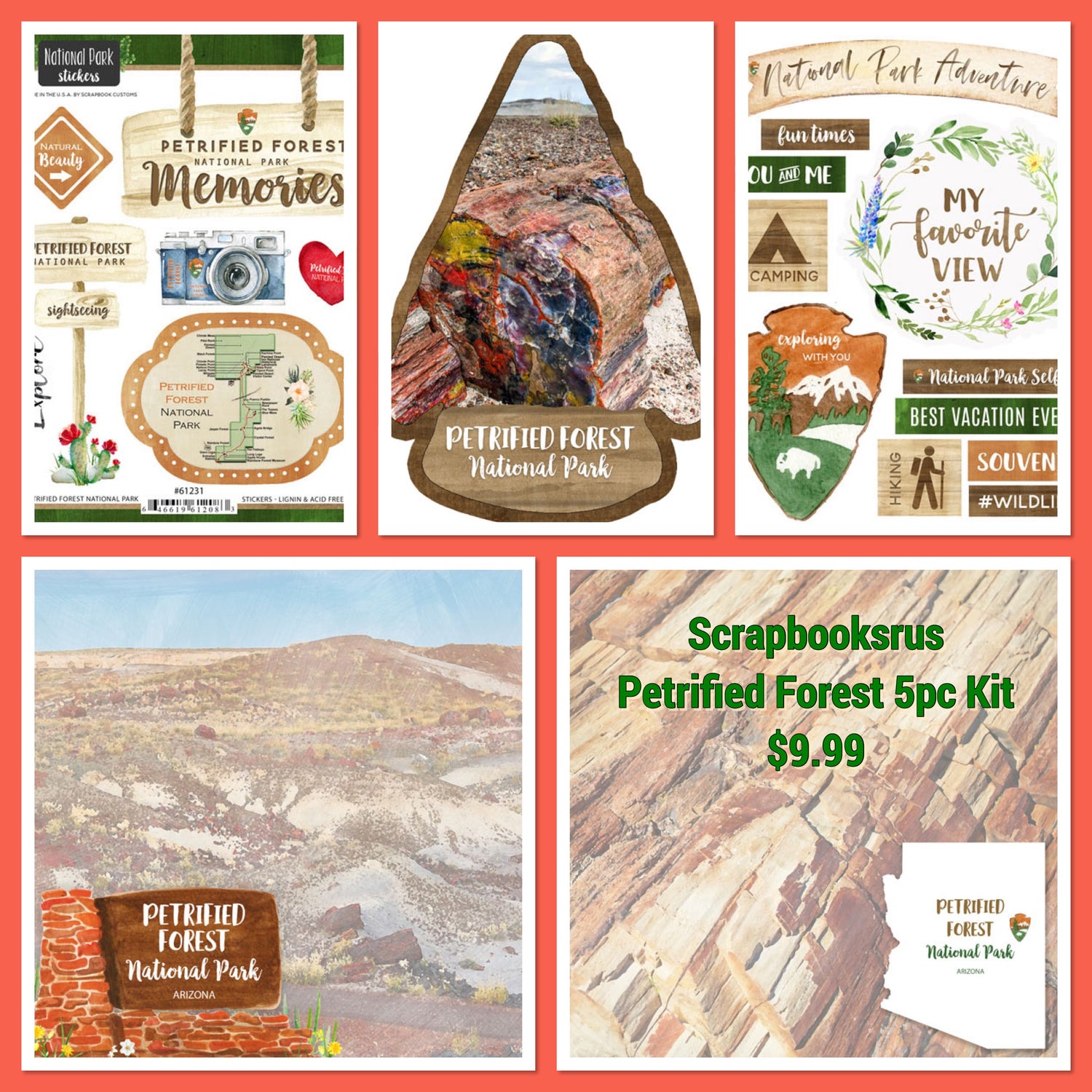 PETRIFIED FOREST KIT Papers and Stickers 5pc National Park Arizona