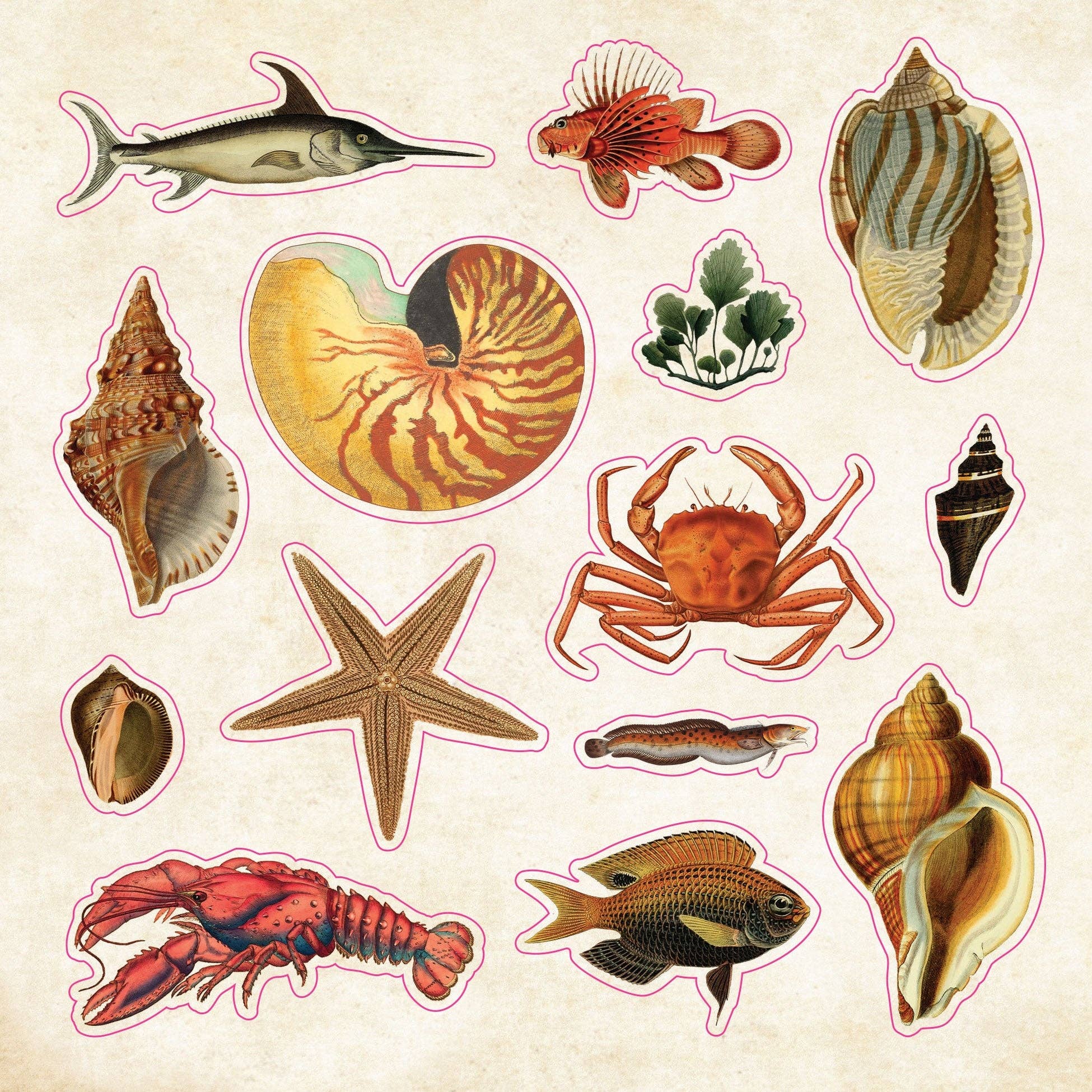 Peter Pauper The Sticker Book of CURIOSITIES