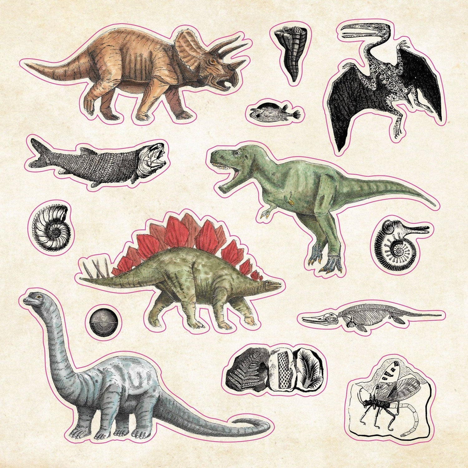 Peter Pauper The Sticker Book of CURIOSITIES
