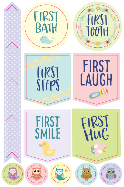 Peter Pauper Planner Stickers PREGNANCY BABY Essentials