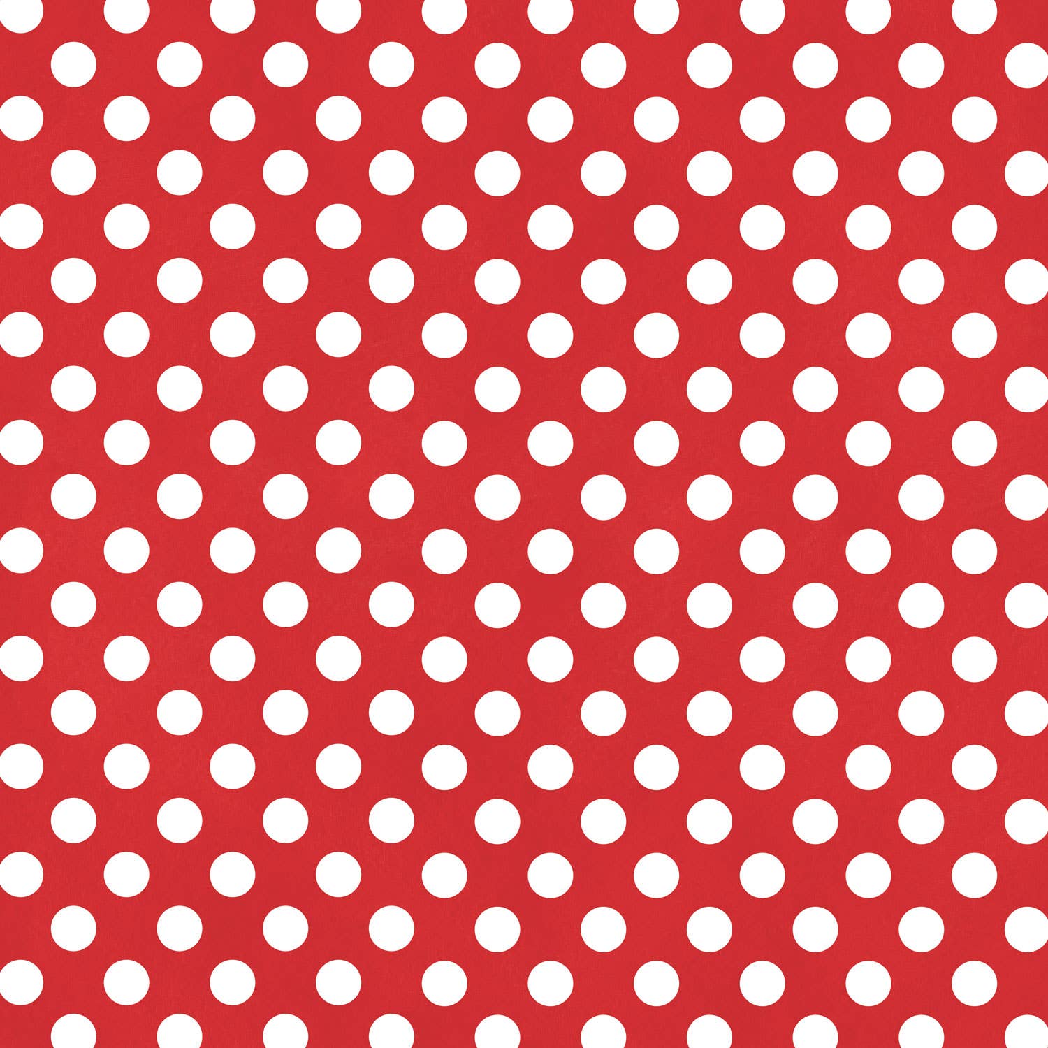 Paper House MAGIC PARK TAGS 12"X12" Scrapbook Paper