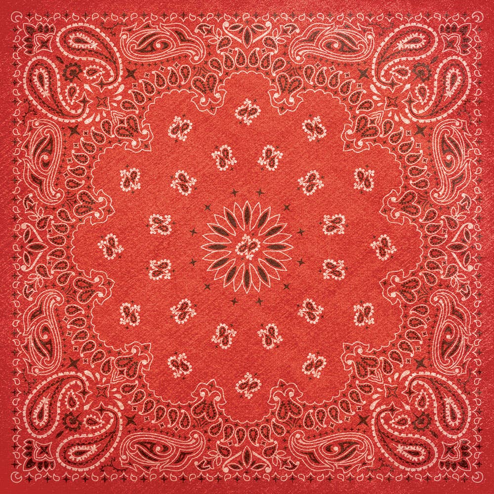 Paper House BANDANA 12X12 Scrapbook Paper