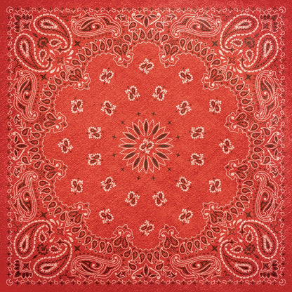 Paper House BANDANA 12X12 Scrapbook Paper
