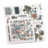 49 and Market Vintage Artistry TRANQUILITY ULTIMATE PAGE KIT Scrapbooksrus