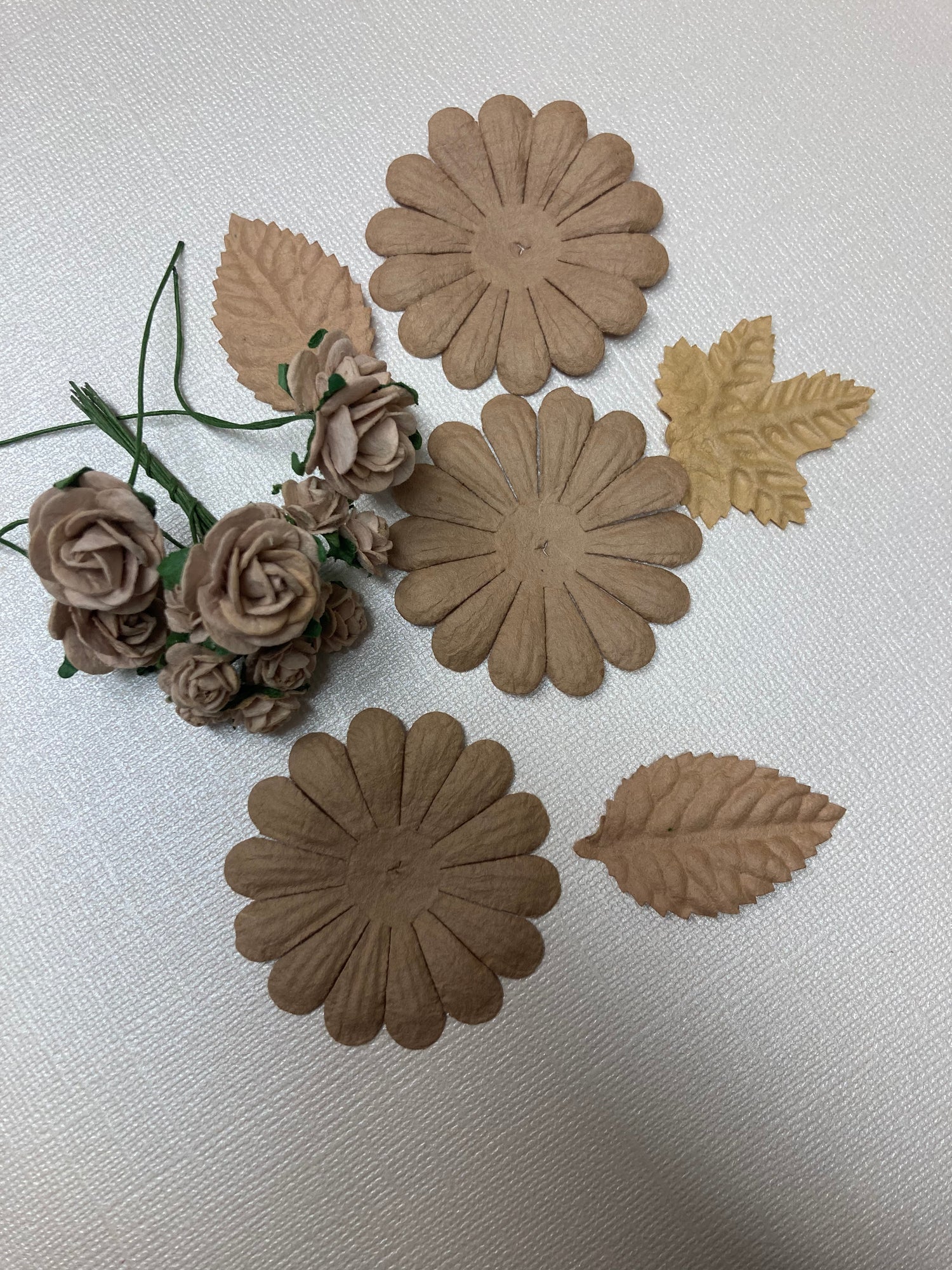 Mini Roses Daisy Leaves BROWN 21pc