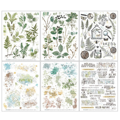 49 and Market Vintage Artistry 6X8 NATURE STUDY FOLIAGE RUB-ON Transfer Set