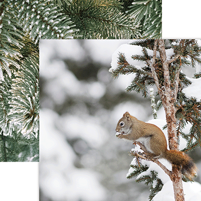 Reminisce Winter Canvas RED SQUIRREL 12X12 Scrapbook Paper