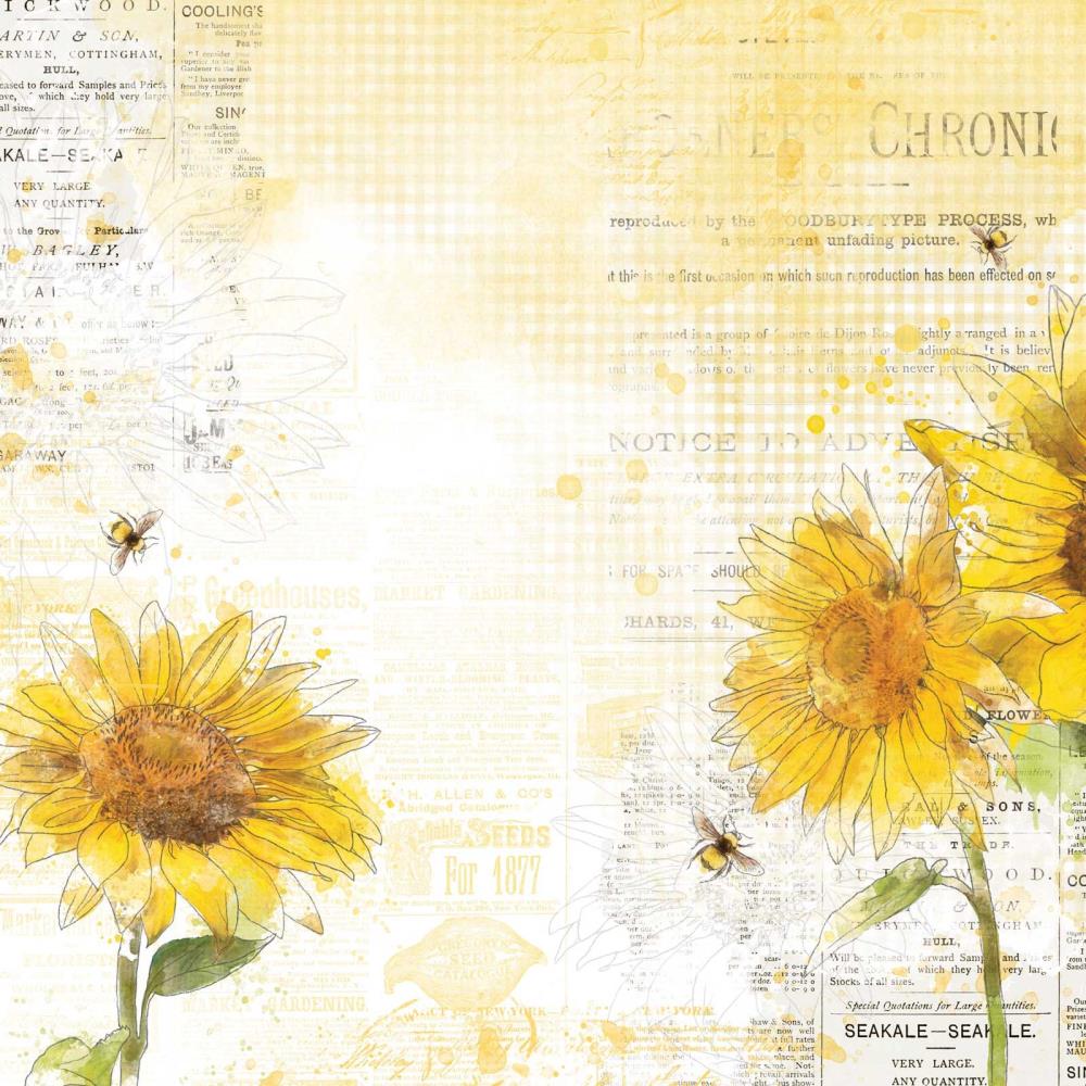 49 and Market Vintage Artistry Countryside GOLDEN FIELDS 12"X12" Scrapbook Paper