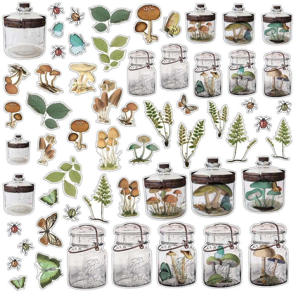 49 and Market Vintage Artistry NATURE STUDY SPECIMEN ACETATE Shapes