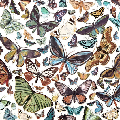 49 and Market Vintage Artistry NATURE STUDY WING ELEMENTS 88pc