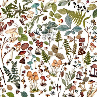 49 and Market Vintage Artistry NATURE STUDY MUSHROOM FOLIAGE ELEMENTS 141pc