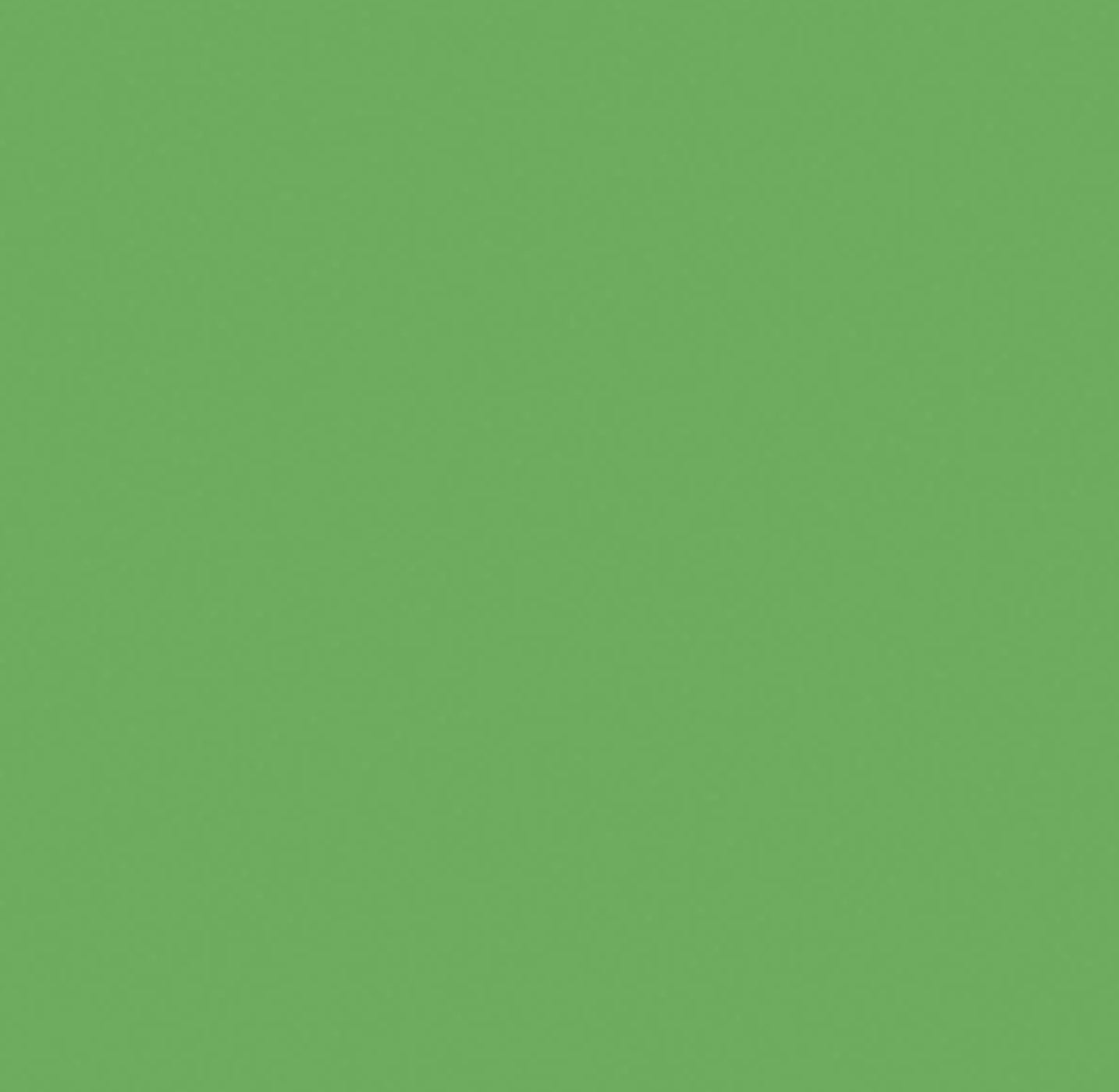 Kaisercraft Cardstock 12&quot;X12&quot; LIME Green Weave