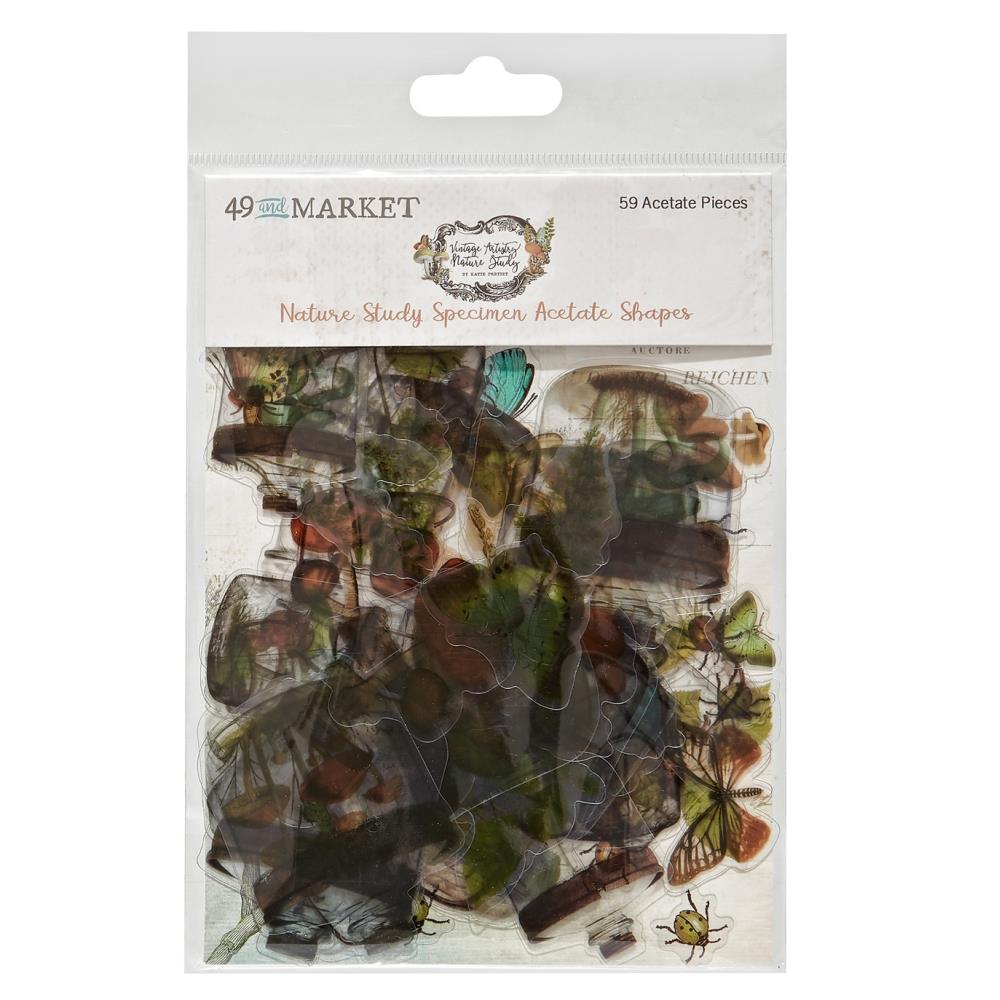 49 and Market Vintage Artistry NATURE STUDY SPECIMEN ACETATE Shapes