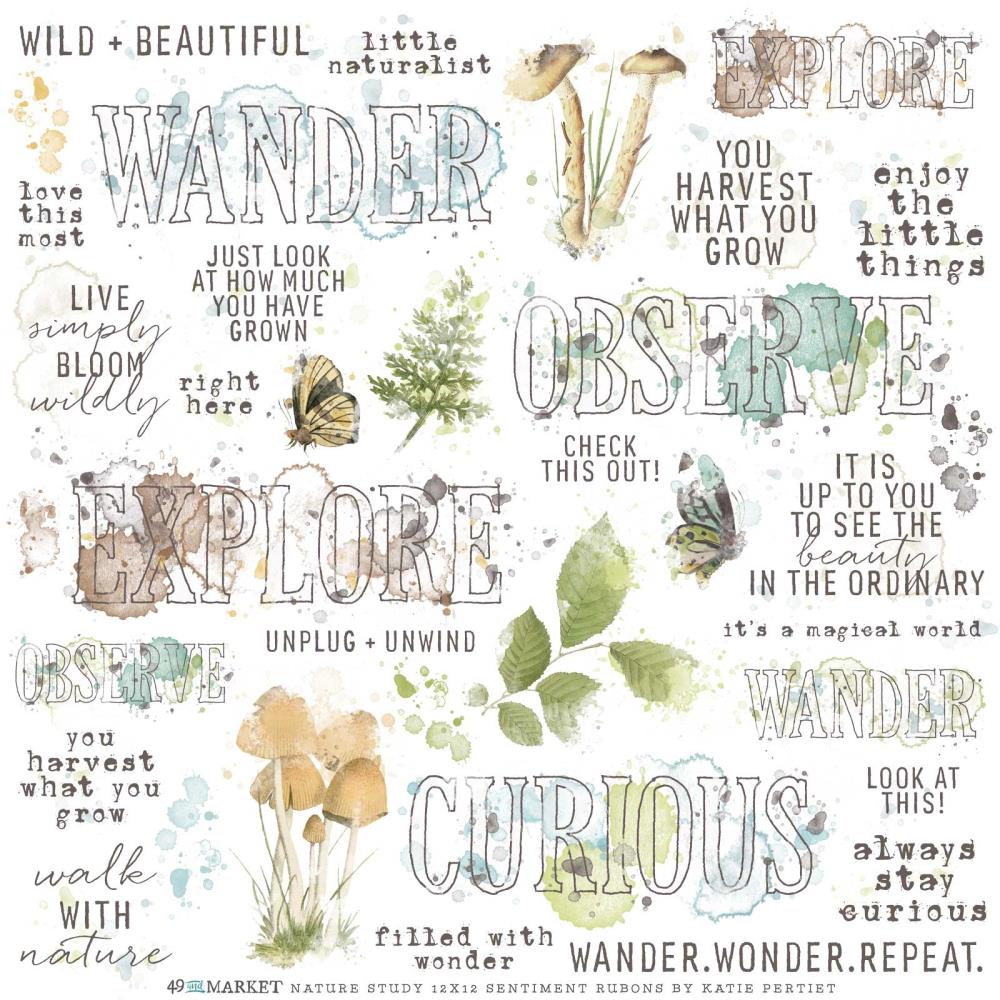 49 and Market Vintage Artistry 12X12 NATURE STUDY SENTIMENTS RUB-ON Transfer Sheet