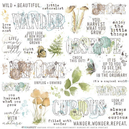 49 and Market Vintage Artistry 12X12 NATURE STUDY SENTIMENTS RUB-ON Transfer Sheet