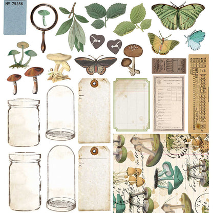 49 and Market Vintage Artistry NATURE STUDY 12"X12" Scrapbook Collection Pack