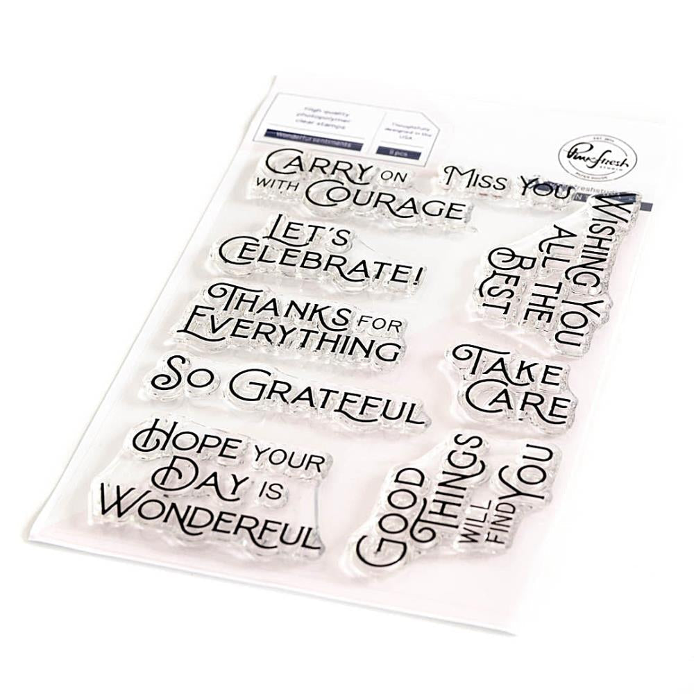 Pinkfresh Studio WONDERFUL SENTIMENTS Stamp &amp; Die Set 18pc