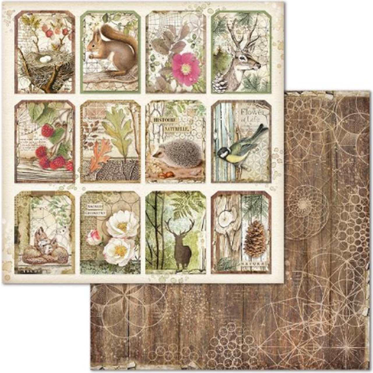 Stamperia FOREST 12&quot;X12&quot; Paper Pad Scrapbooksrus 