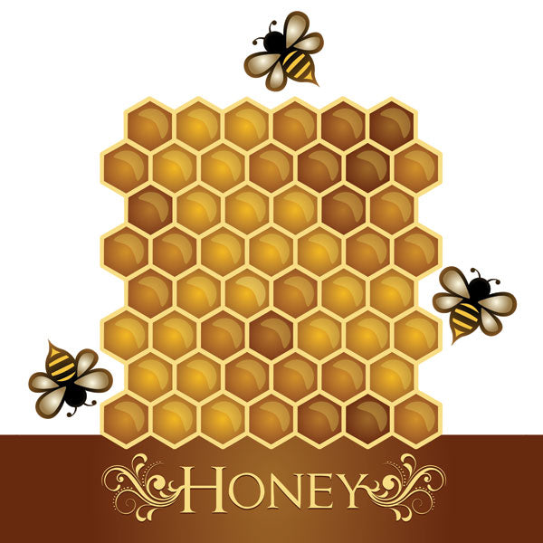 HONEY 12&quot;X12&quot; Scrapbooking Paper Scrapbooksrus 