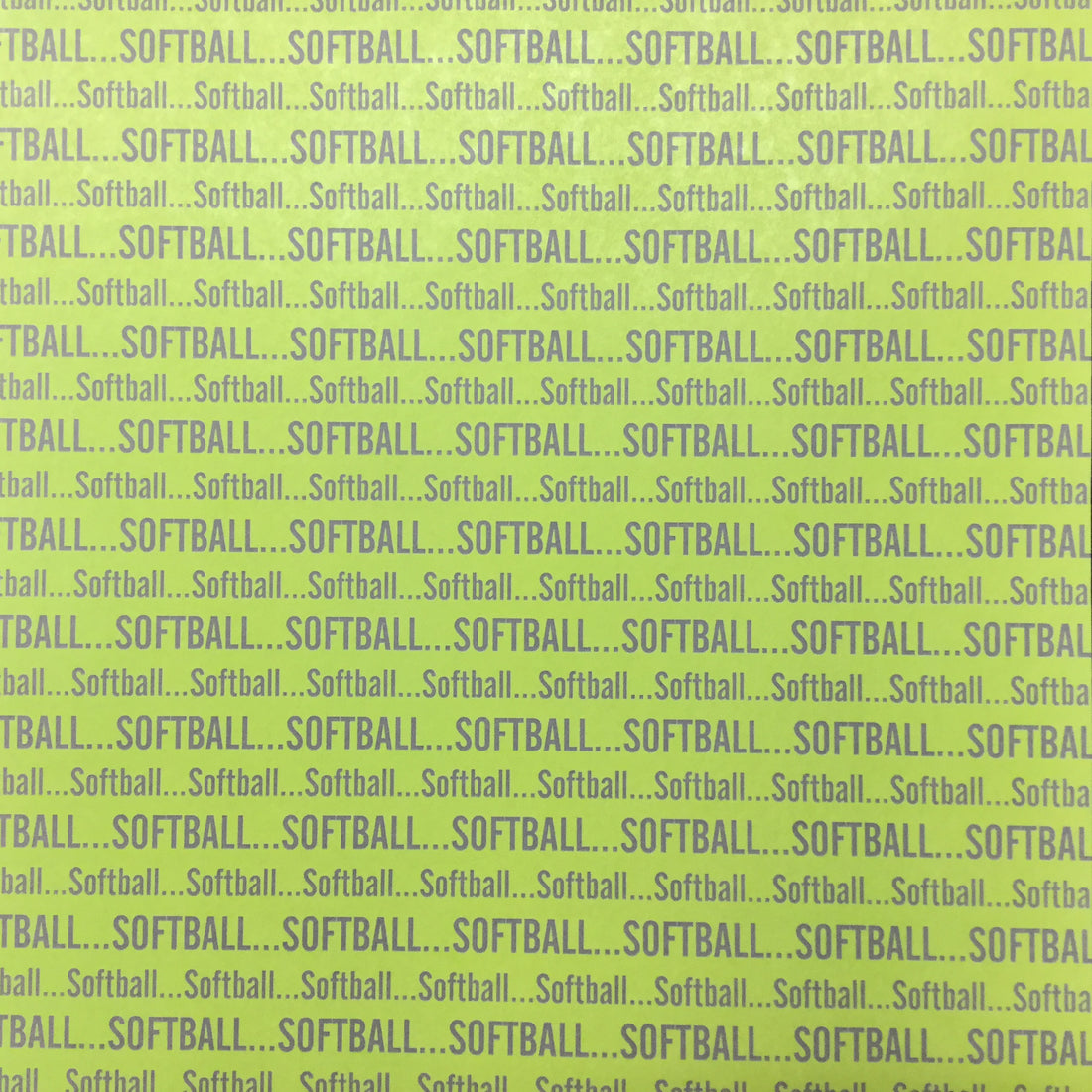 SOFTBALL SPORTS PRIDE 12X12 Sports Sheet Scrapbook Customs Scrapbooksrus 