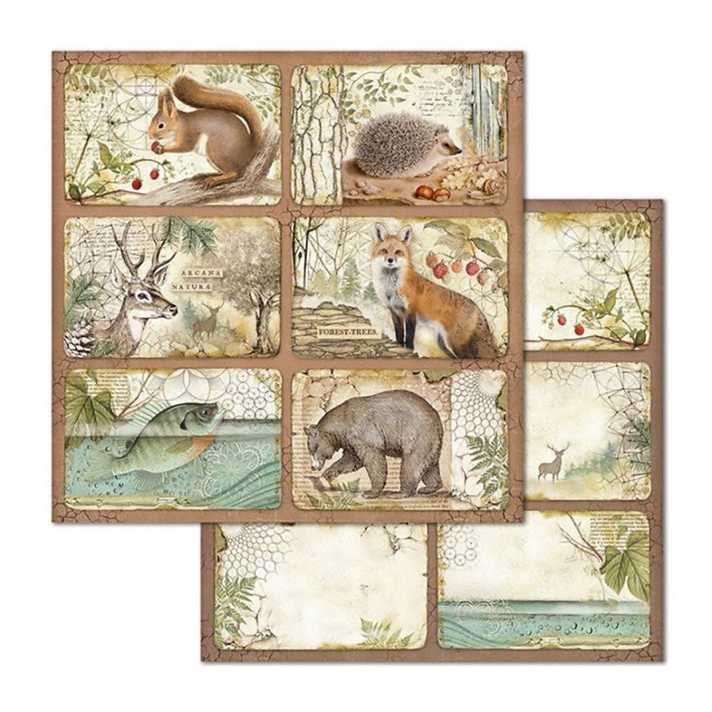 Stamperia FOREST 12&quot;X12&quot; Paper Pad Scrapbooksrus 