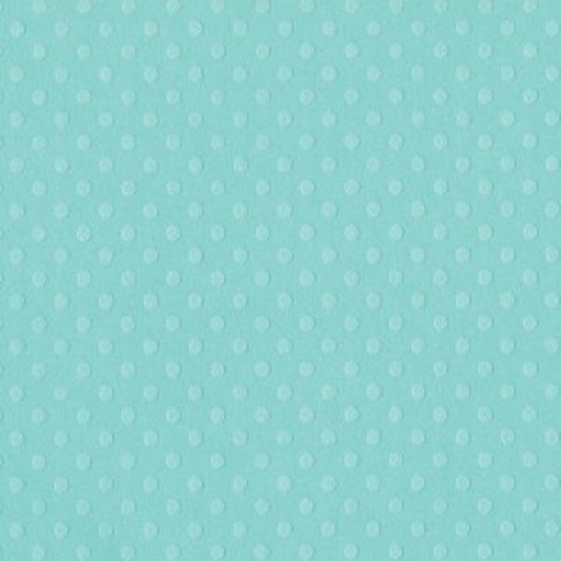 12X12 Bazzill DOT Cardstock