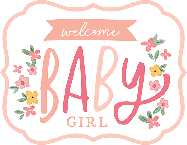 Echo Park WELCOME BABY GIRL 12&quot;X12&quot; Collection Kit Scrapbooksrus 
