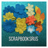 Tropical Flowers 30pc Set Flowers Daisies Leaves Scrapbooksrus 