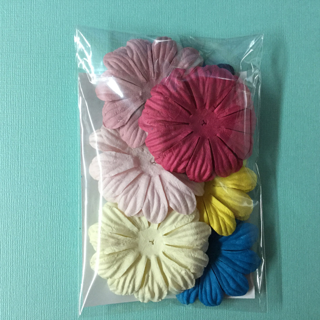 Big Daisies 21 pc Rainbow