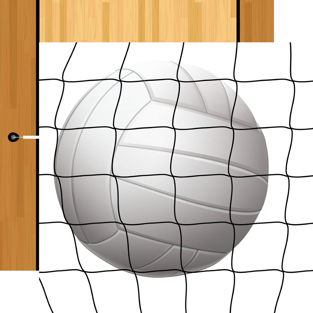 Echo Park VOLLEYBALL 12"X12" Paper Scrapbooksrus