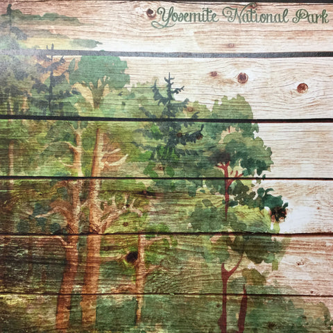 YOSEMITE NATIONAL PARK Wood Plank Forest 12"X12" Scrapbook Paper Scrapbooksrus 