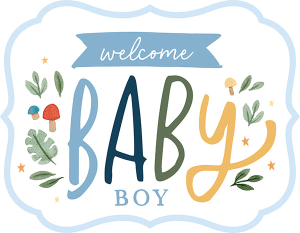 Echo Park 6&quot;x12&quot; WELCOME BABY BOY Chipboard Frames 23pc Scrapbooksrus 