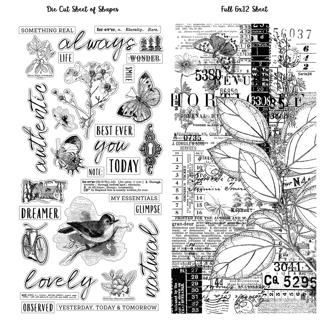 49 and Market ESSENTIALS Washi Tape Scrapbooksrus