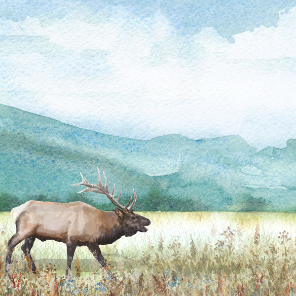 Scrapbook Customs ELK DS Watercolor 12"X12" Paper Scrapbook 