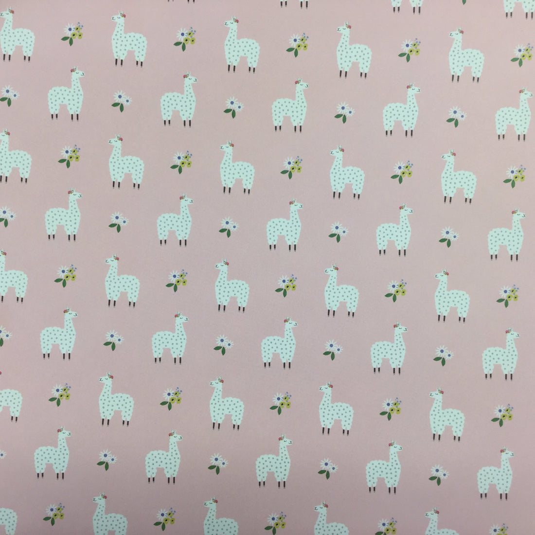 Jen Hadfield My Bright Life LOVELY LLAMAS 12"X12" Scrapbook Paper Scrapbooksrus