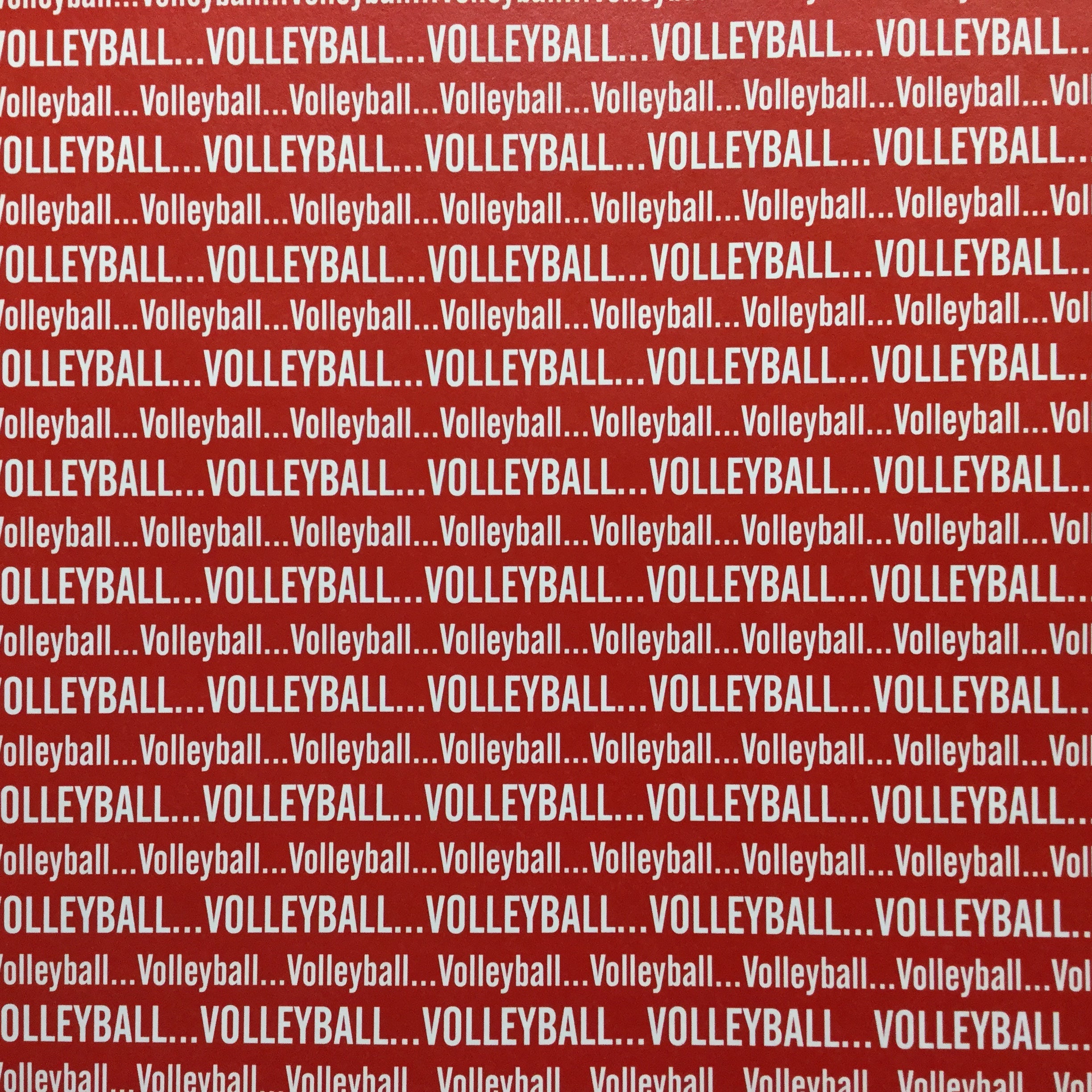 Volleyball SPORTS PRIDE Sports 12X12 Paper Sheet Scrapbook Customs Red Scrapbooksrus 